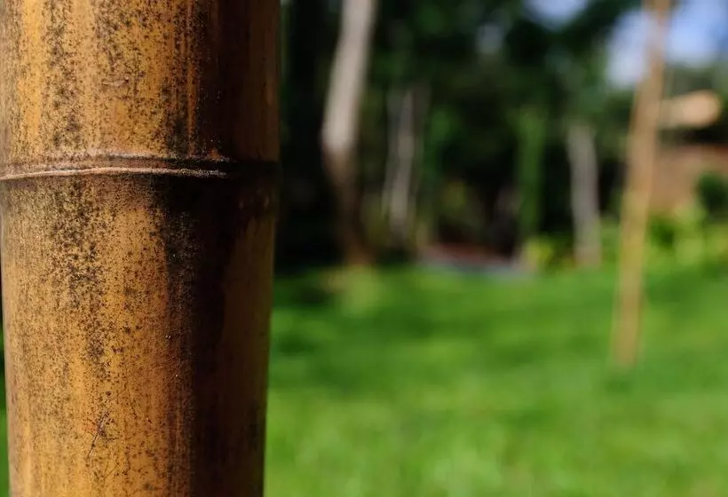 Fotos del hotel Loi Suites Iguazu:  16