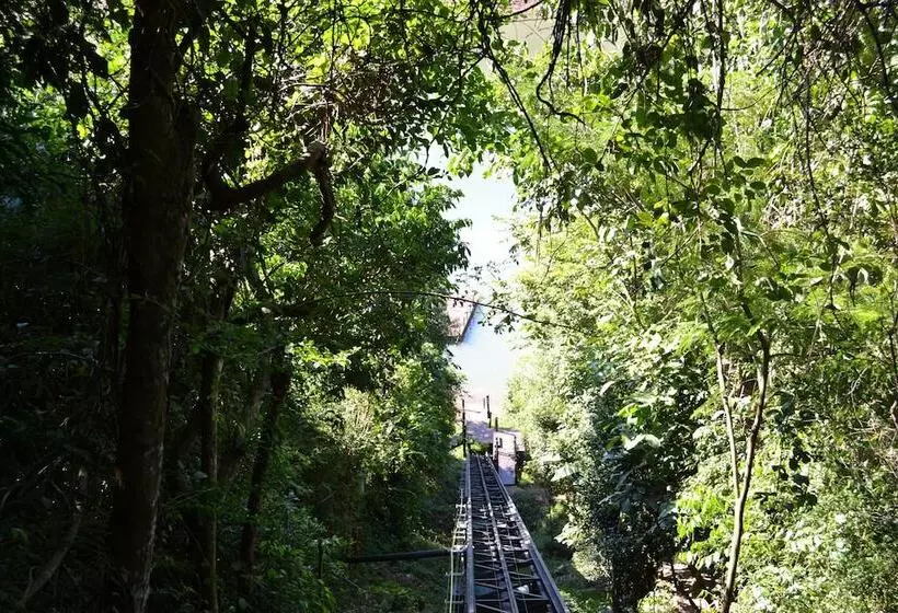 Fotos del hotel Loi Suites Iguazu:  11