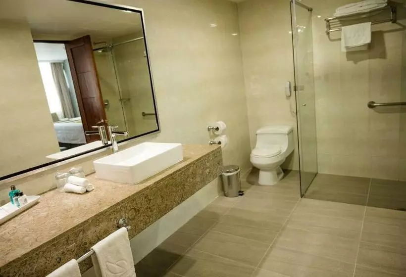 Fotos del hotel San Fernando Plaza:  21