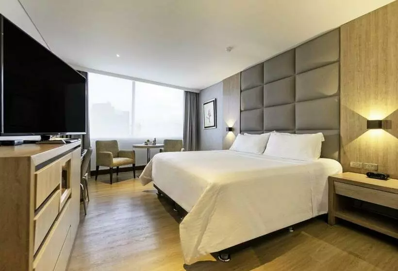 Fotos del hotel San Fernando Plaza:  11