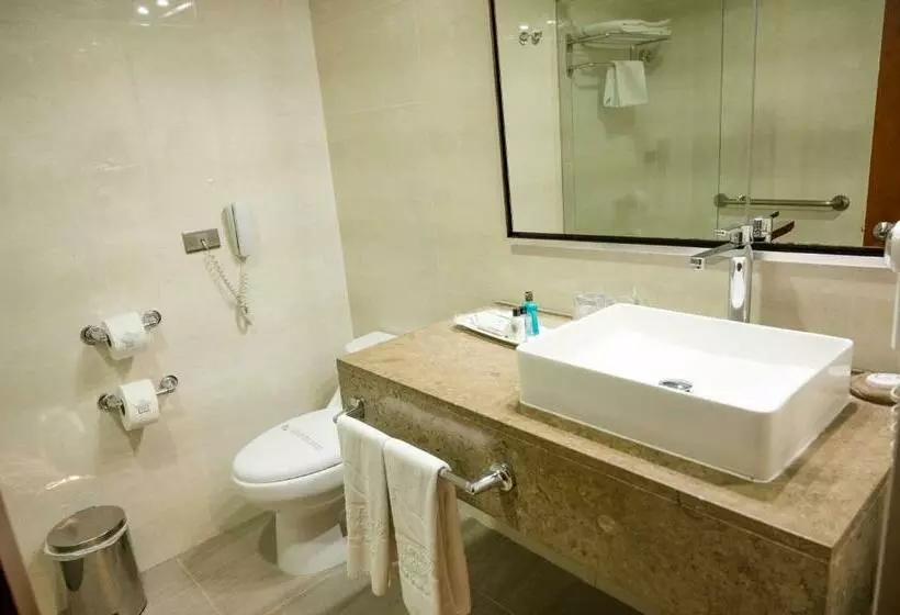 Fotos del hotel San Fernando Plaza:  18