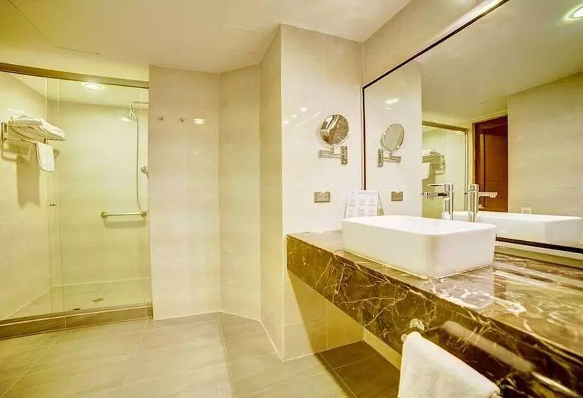 Fotos del hotel San Fernando Plaza:  23