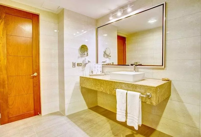 Fotos del hotel San Fernando Plaza:  15