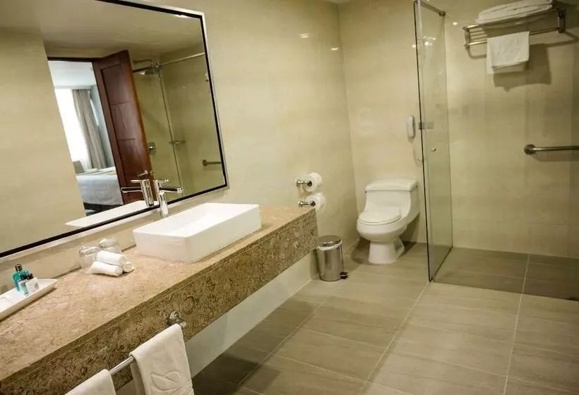 Fotos del hotel San Fernando Plaza:  9