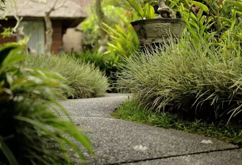 Fotos del hotel Sri Ratih Cottages:  20