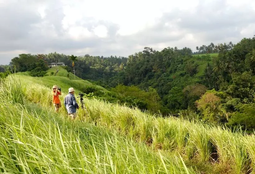 Fotos del hotel Sri Ratih Cottages:  9