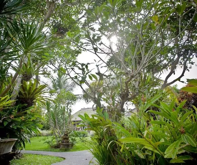 Fotos del hotel Sri Ratih Cottages:  16