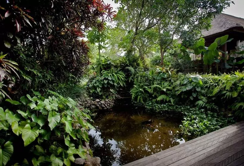 Fotos del hotel Sri Ratih Cottages:  23