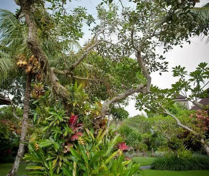 Fotos del hotel Sri Ratih Cottages:  14