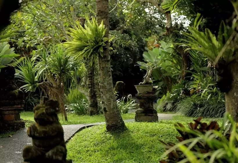 Fotos del hotel Sri Ratih Cottages:  19