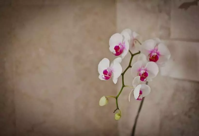 Fotos del hotel Sri Ratih Cottages:  11