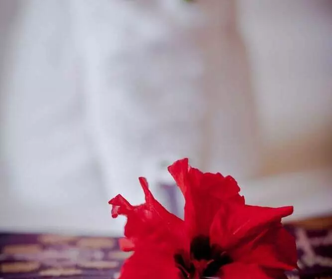 Fotos del hotel Sri Ratih Cottages:  5