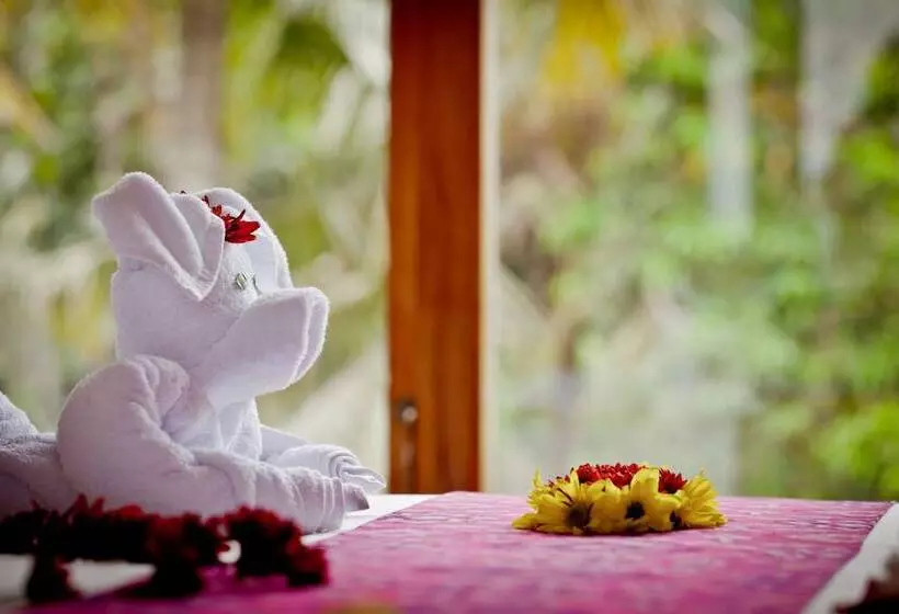 Fotos del hotel Sri Ratih Cottages:  25