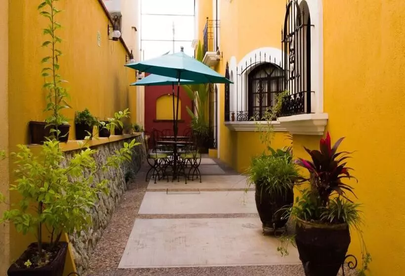 Fotos del hotel Suites Bello Xochimilco:  6