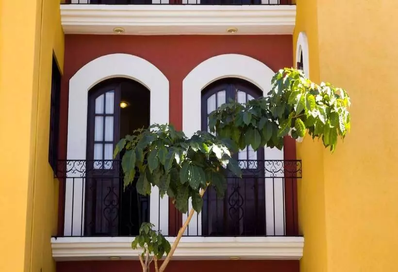 Fotos del hotel Suites Bello Xochimilco:  14