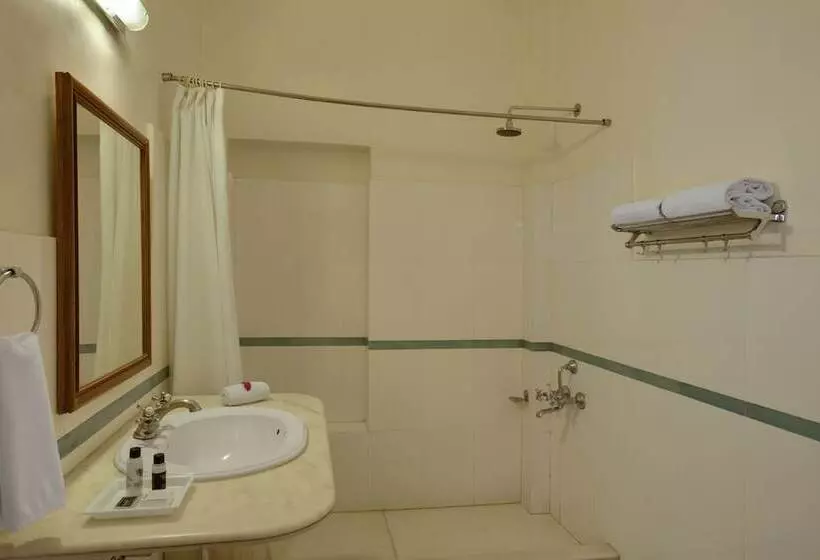 Fotos del hotel Ram Pratap Palace:  7