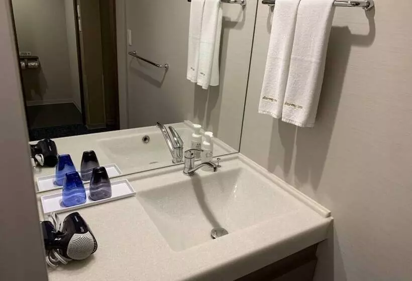 Fotos del hotel Dormy Inn Kobe Motomachi Natural Hot Springs:  16