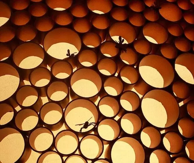 Fotos del hotel Grand Noble Hotel Xi’an:  11