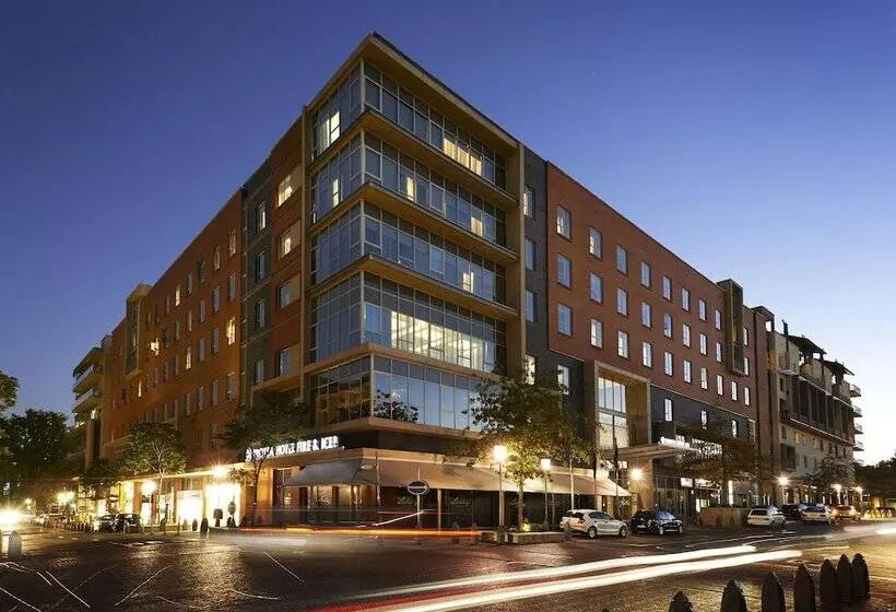 Protea  Fire & Ice! By Marriott Johannesburg Melrose Arch