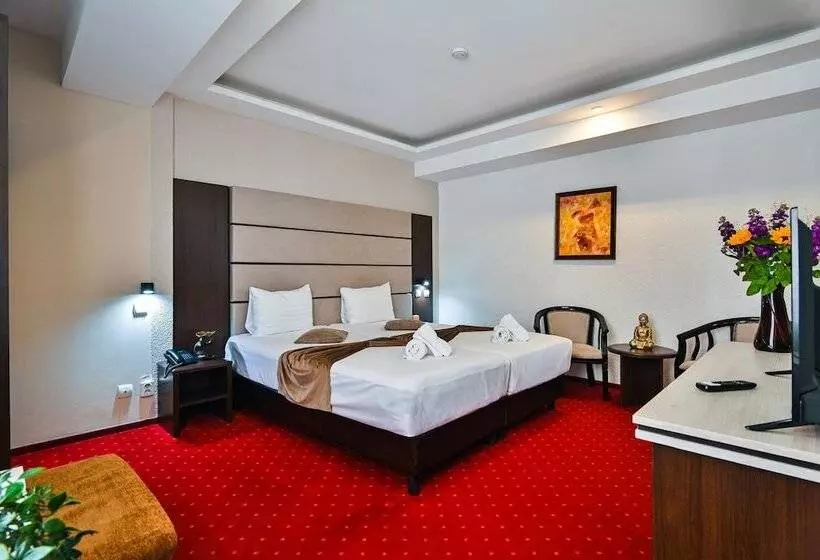 Fotos del hotel Razvan:  15