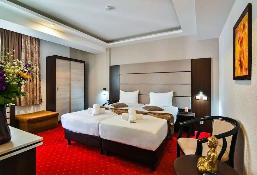 Fotos del hotel Razvan:  6