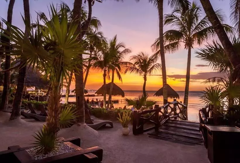 Fotos del hotel Beachfront  La Palapa  Adults Only:  13