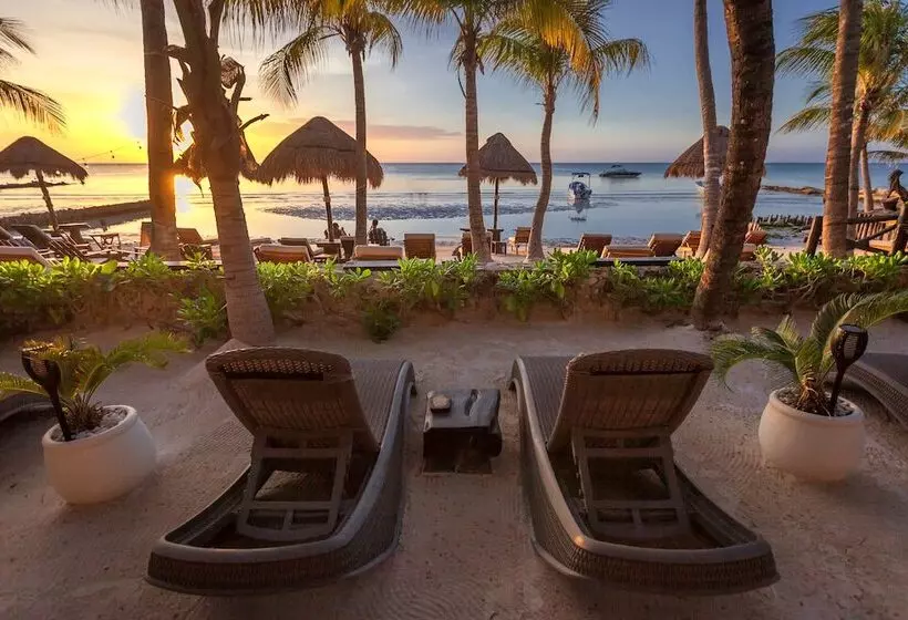 Fotos del hotel Beachfront  La Palapa  Adults Only:  5