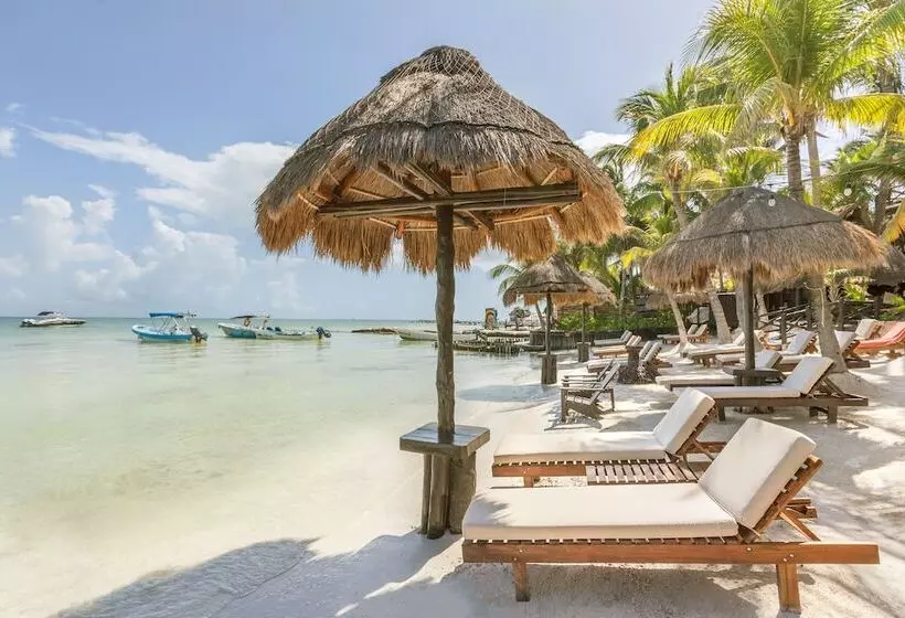 Fotos del hotel Beachfront  La Palapa  Adults Only:  19