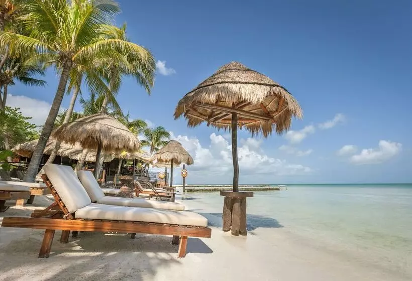 Fotos del hotel Beachfront  La Palapa  Adults Only:  22