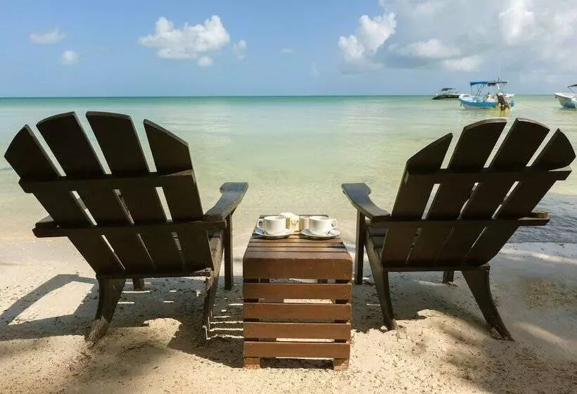 Fotos del hotel Beachfront  La Palapa  Adults Only:  10