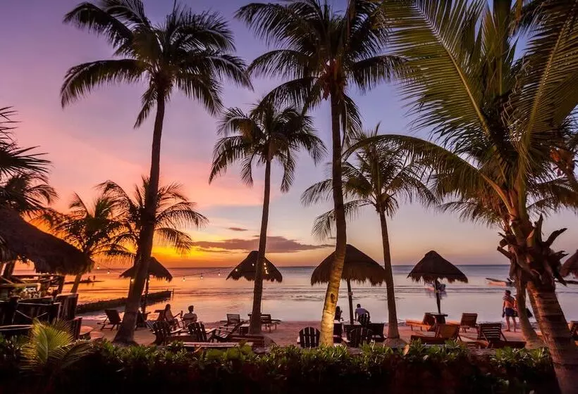 Fotos del hotel Beachfront  La Palapa  Adults Only:  7