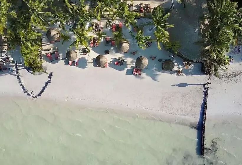 Fotos del hotel Beachfront  La Palapa  Adults Only:  2