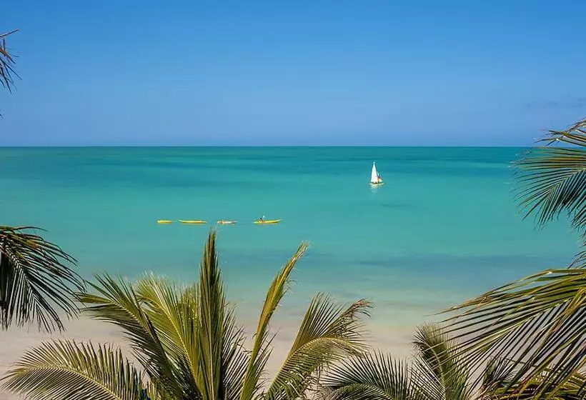 Fotos del hotel Beachfront  La Palapa  Adults Only:  9