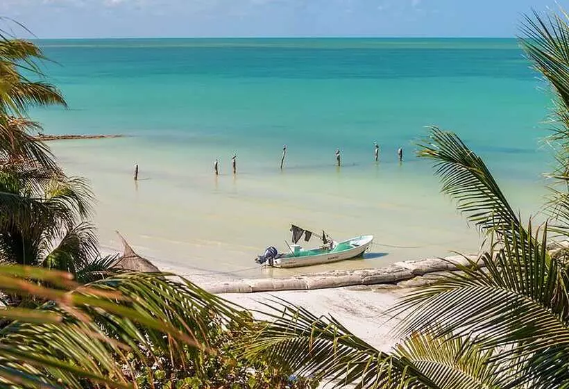 Fotos del hotel Beachfront  La Palapa  Adults Only:  4