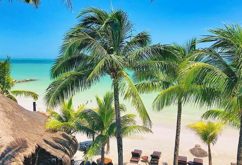 Fotos del hotel Beachfront  La Palapa  Adults Only:  6