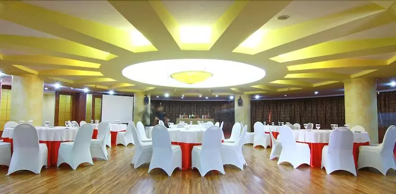 Fotos del hotel Grand Arkenso Parkview:  17