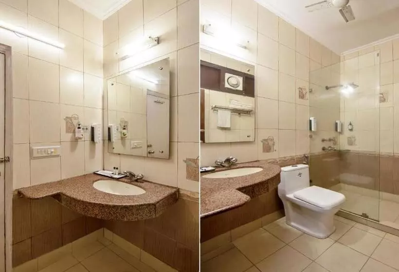 Fotos del hotel Paras International:  10