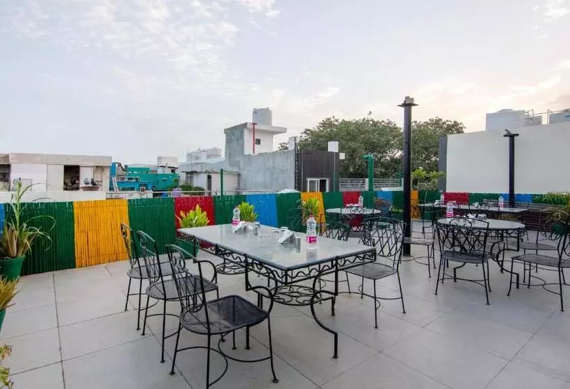 Fotos del hotel Paras International:  4