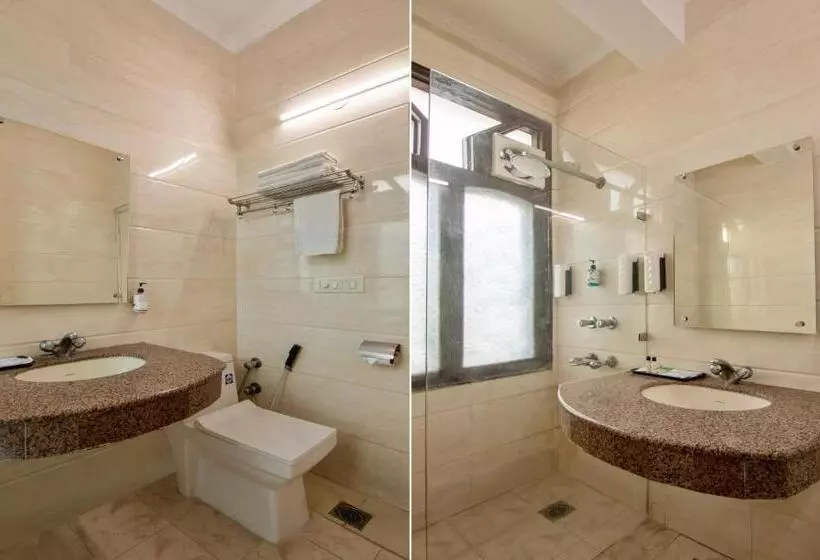 Fotos del hotel Paras International:  14