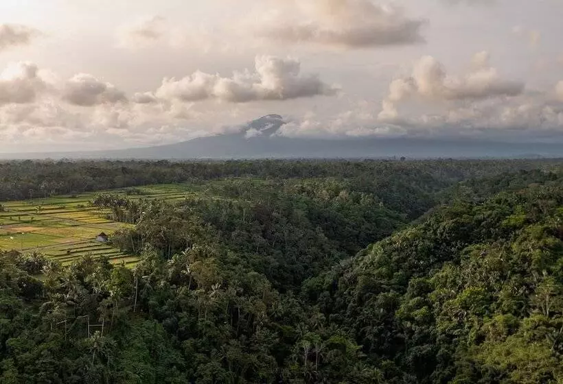 Fotos del hotel Puri Wulandari  A Boutique Resort & Spa:  5