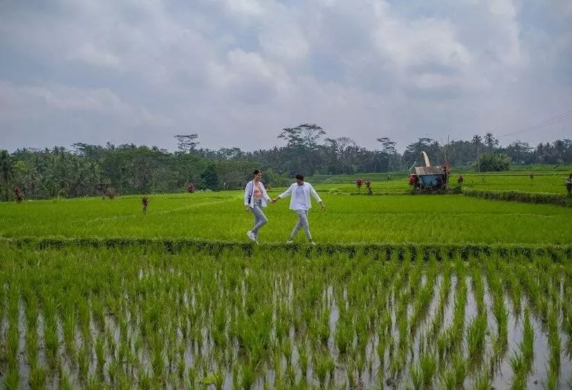 Fotos del hotel Puri Wulandari  A Boutique Resort & Spa:  13