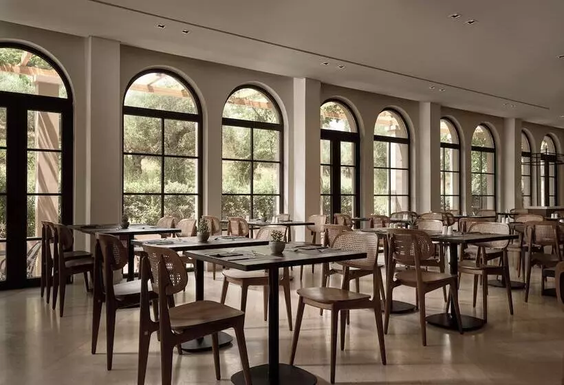 Fotos del hotel Hotel Pallas:  4