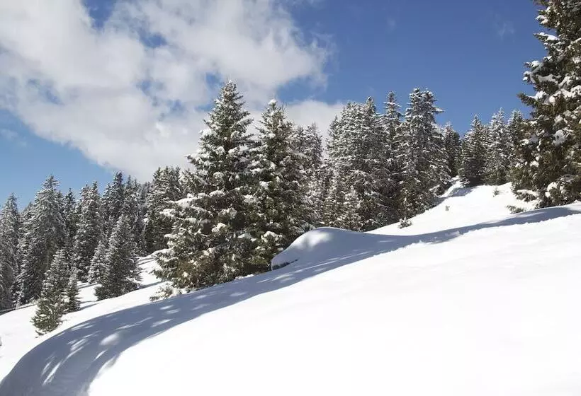 Fotos del hotel Cir:  11