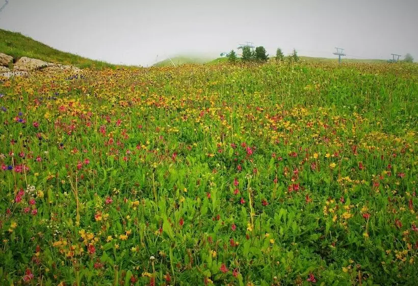 Fotos del hotel Cir:  8