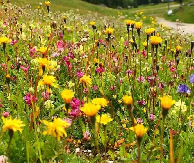 Fotos del hotel Cir:  3