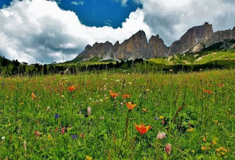 Fotos del hotel Cir:  23