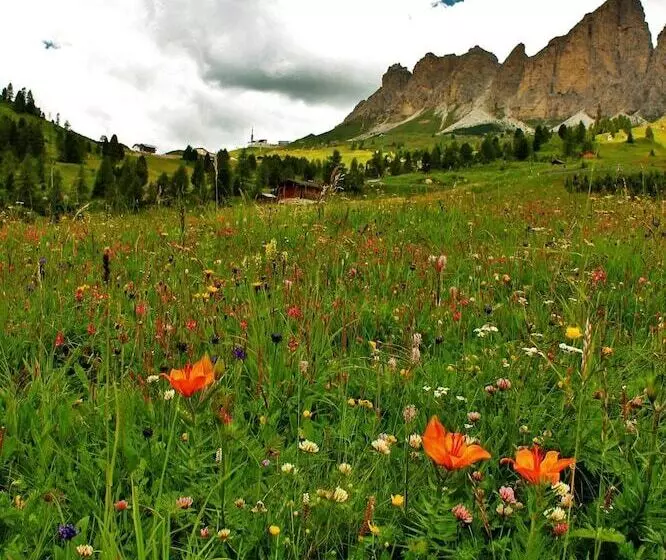 Fotos del hotel Cir:  20