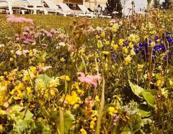 Fotos del hotel Cir:  7