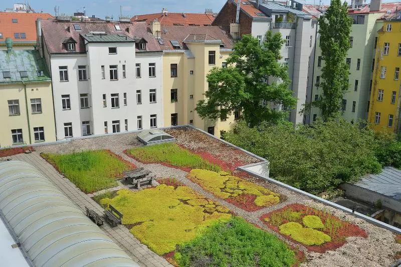 Fotos del hotel Abe:  5