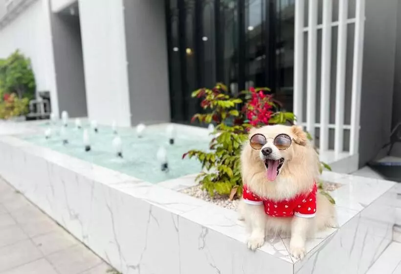 Fotos del hotel Oakwood  & Residence Bangkok:  10